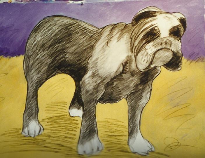 DOG5.jpg