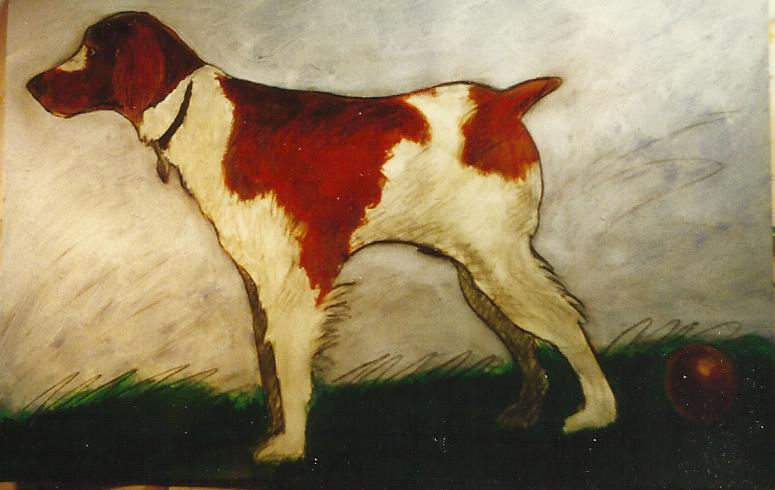 DOG10.jpg