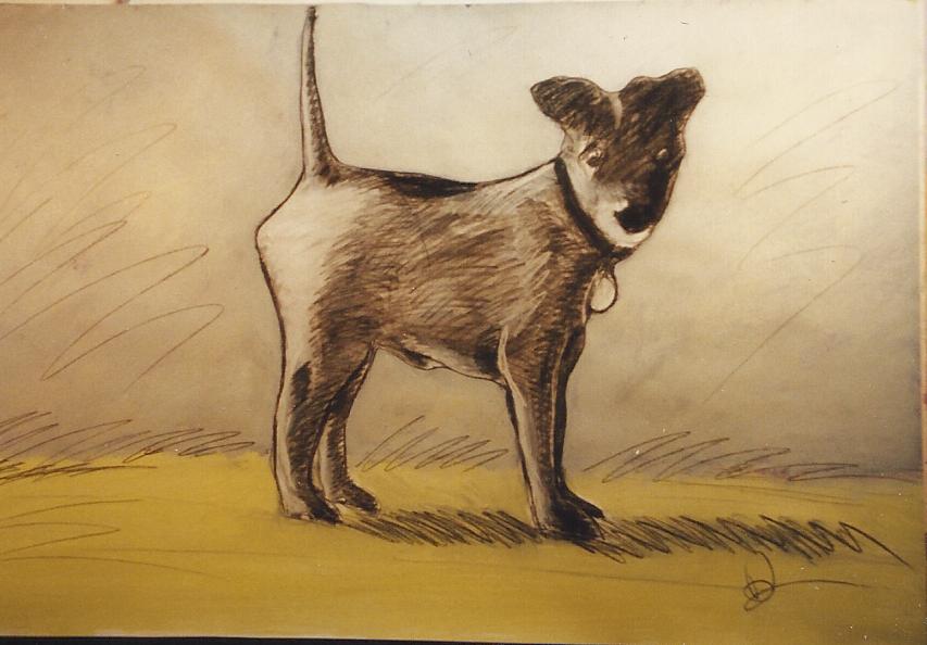 DOG16.jpg