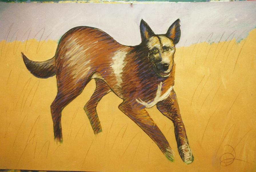 DOG17.jpg