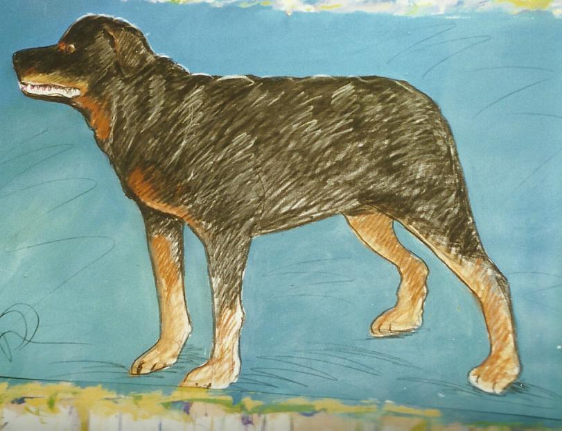 DOG13.jpg