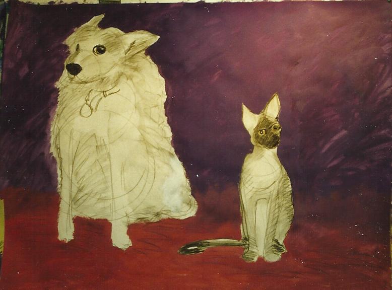 DOG 20.jpg