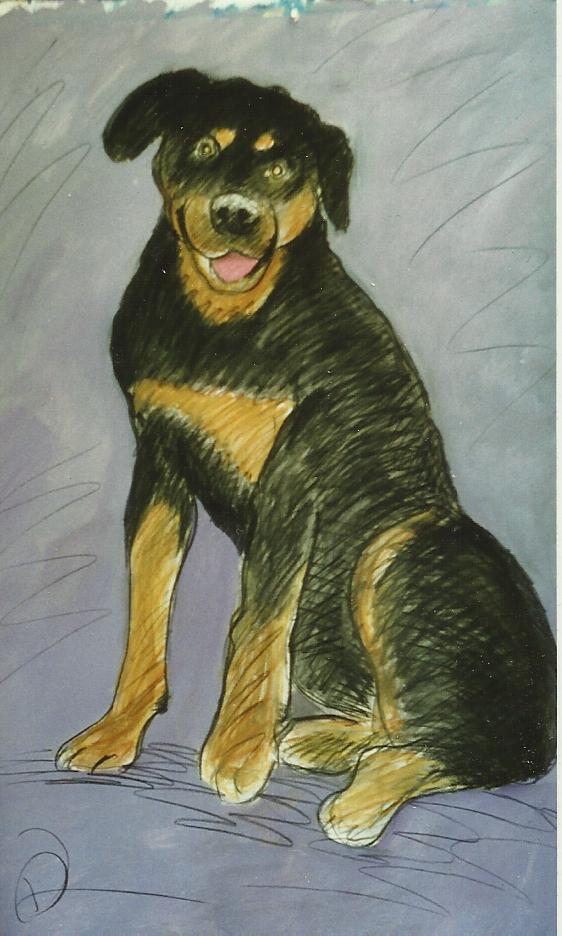 DOG18.jpg