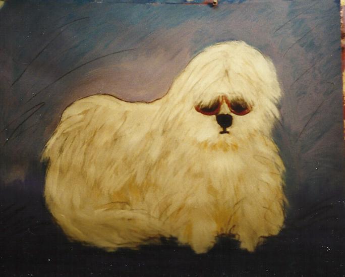 DOG 21.jpg