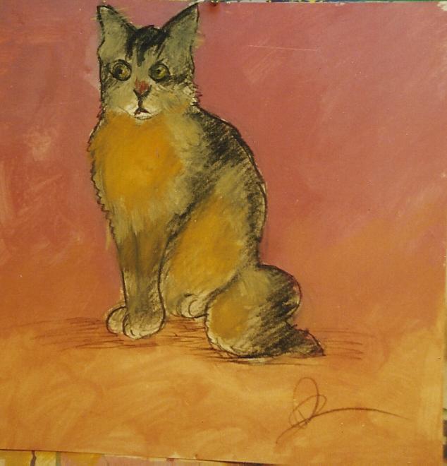CAT10.jpg
