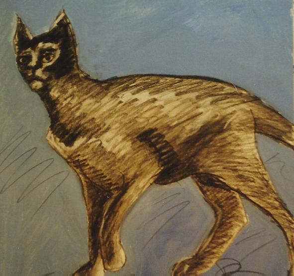CAT4.jpg