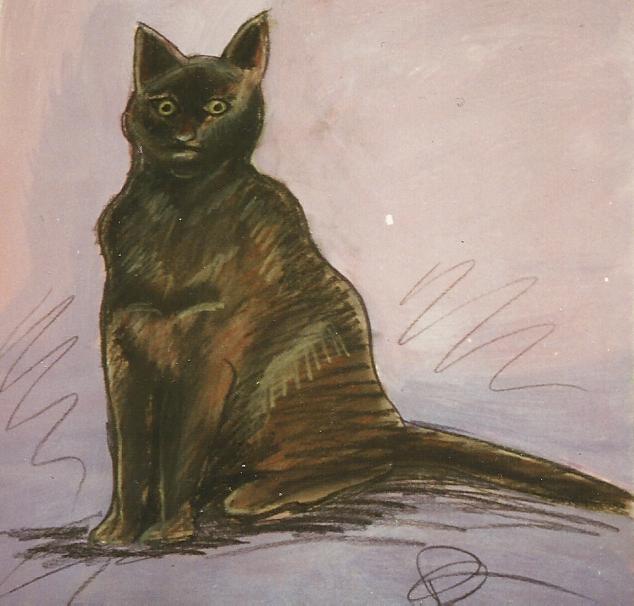 CAT12.jpg