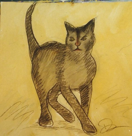 CAT3.jpg