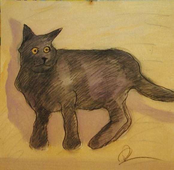 CAT1.jpg