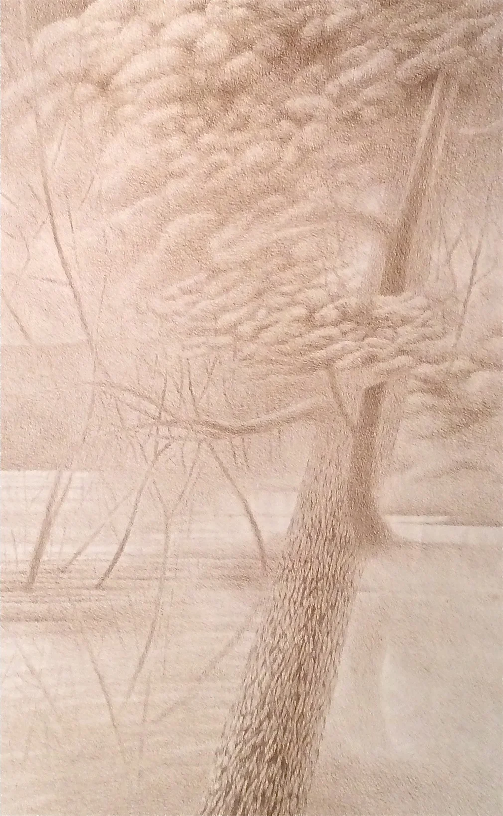 Co-Incidence (1977) sepia ink 40" H x 25" W