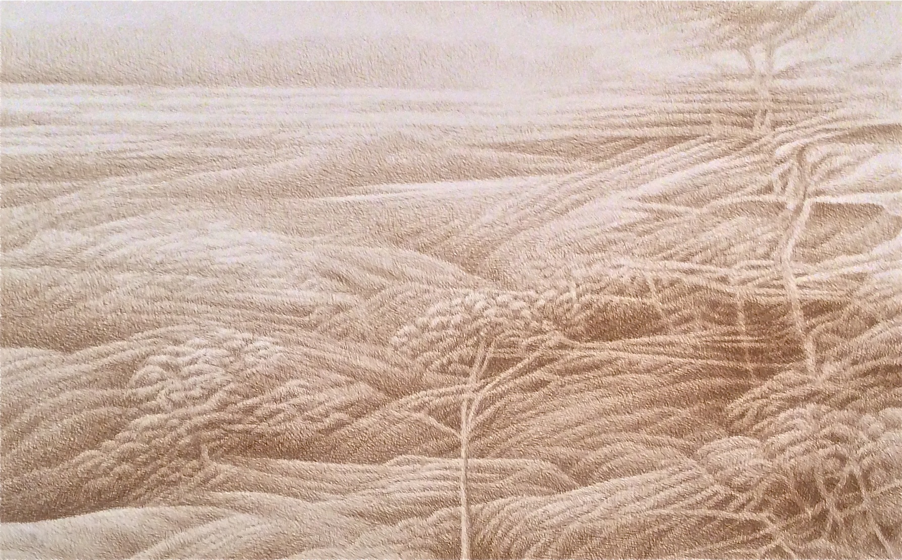 Romantic Landscape 1 (1973) sepia ink 24" H x 38" W