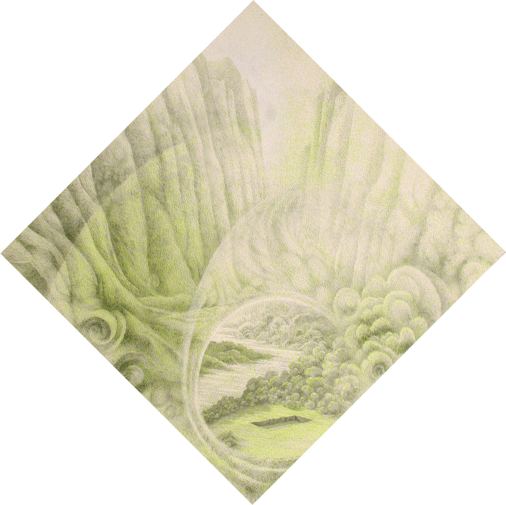 Das Thal (The Valley) after R. Strauss (2008) graphite & acrylic 57" H x 57" W