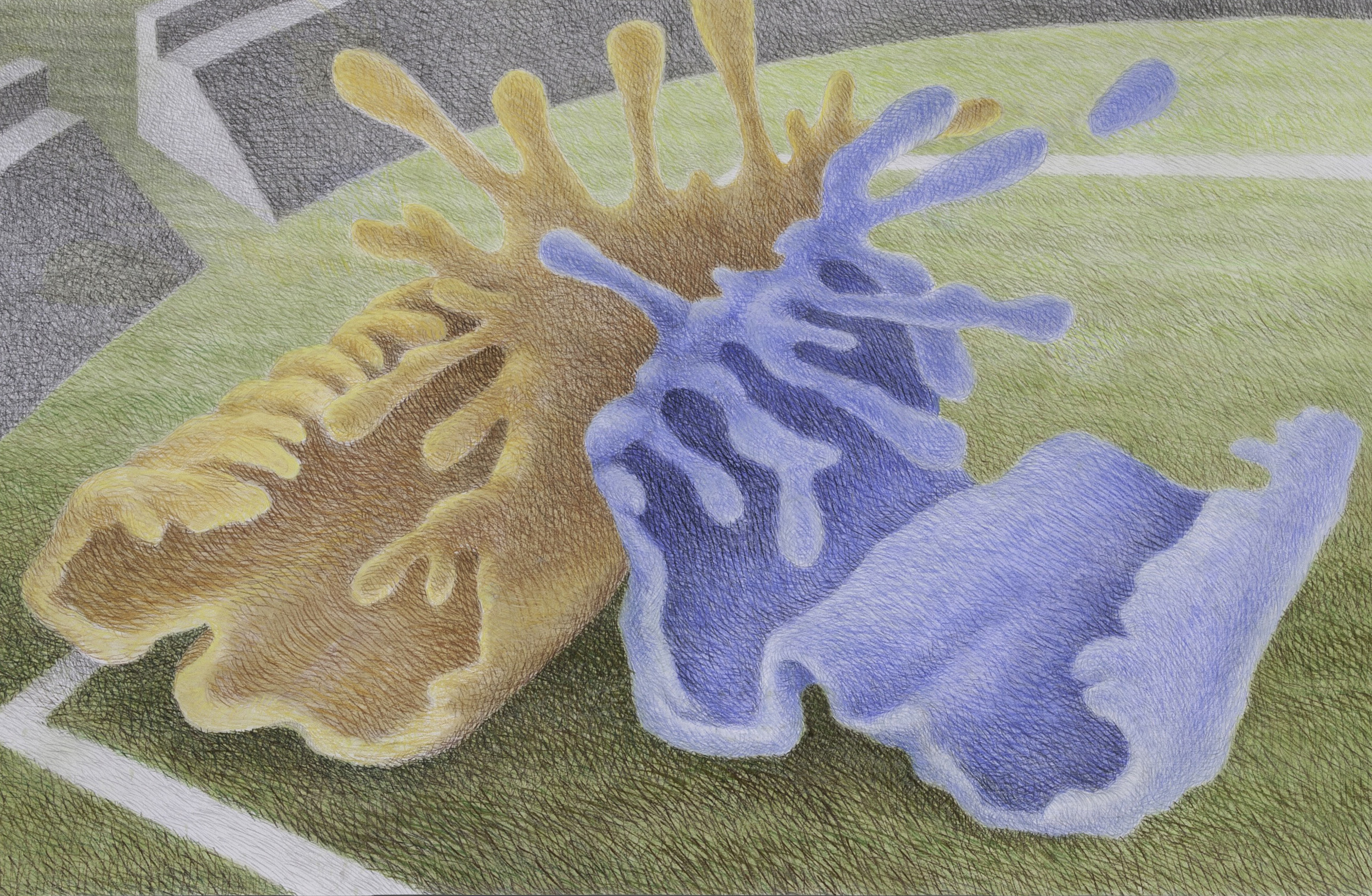 Sport'n (2012) pastel, graphite 30" H x 40" W