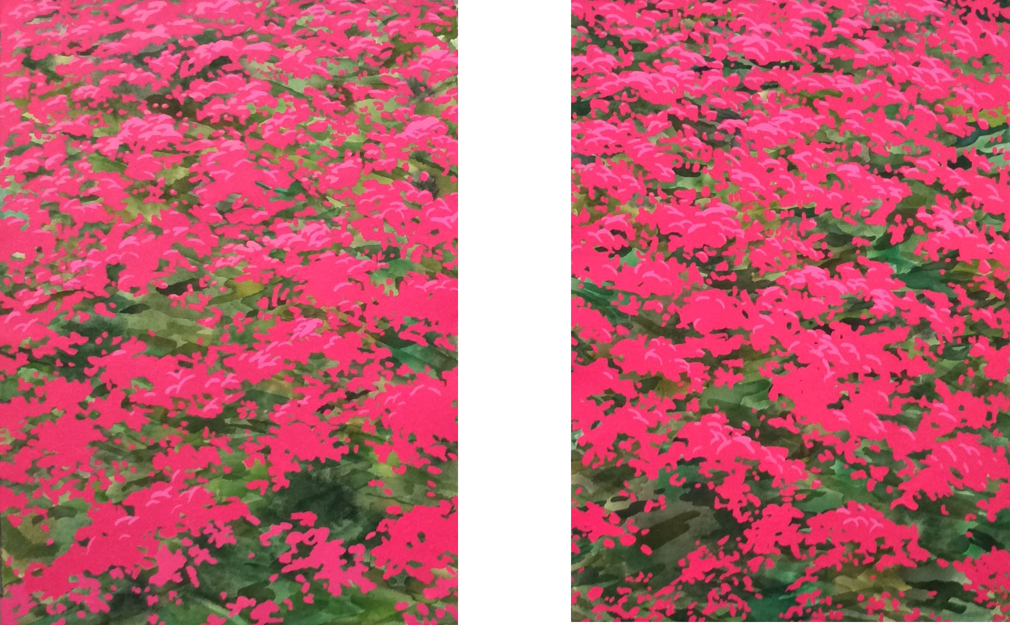 Bougainvillea - Positive over Negative (2010) watercolor, acrylic 30 1/2" H x 49" W