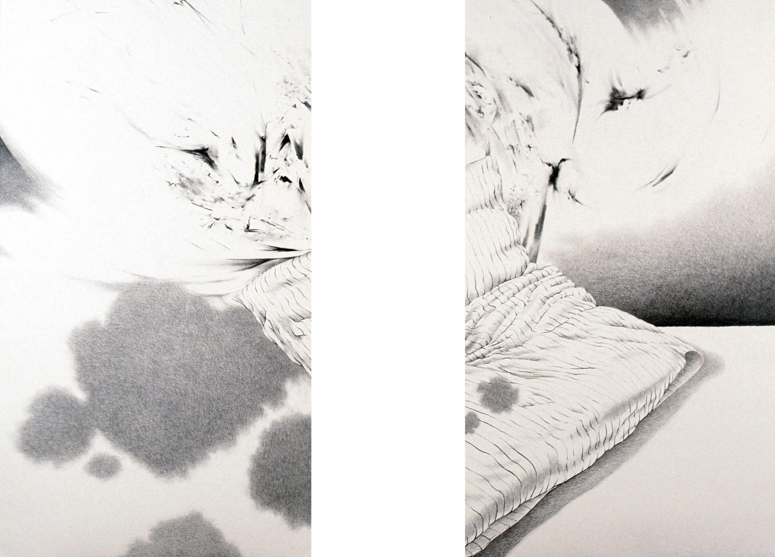 Sleep: Worry and Congestion (1996) charcoal 53" H x 74" W