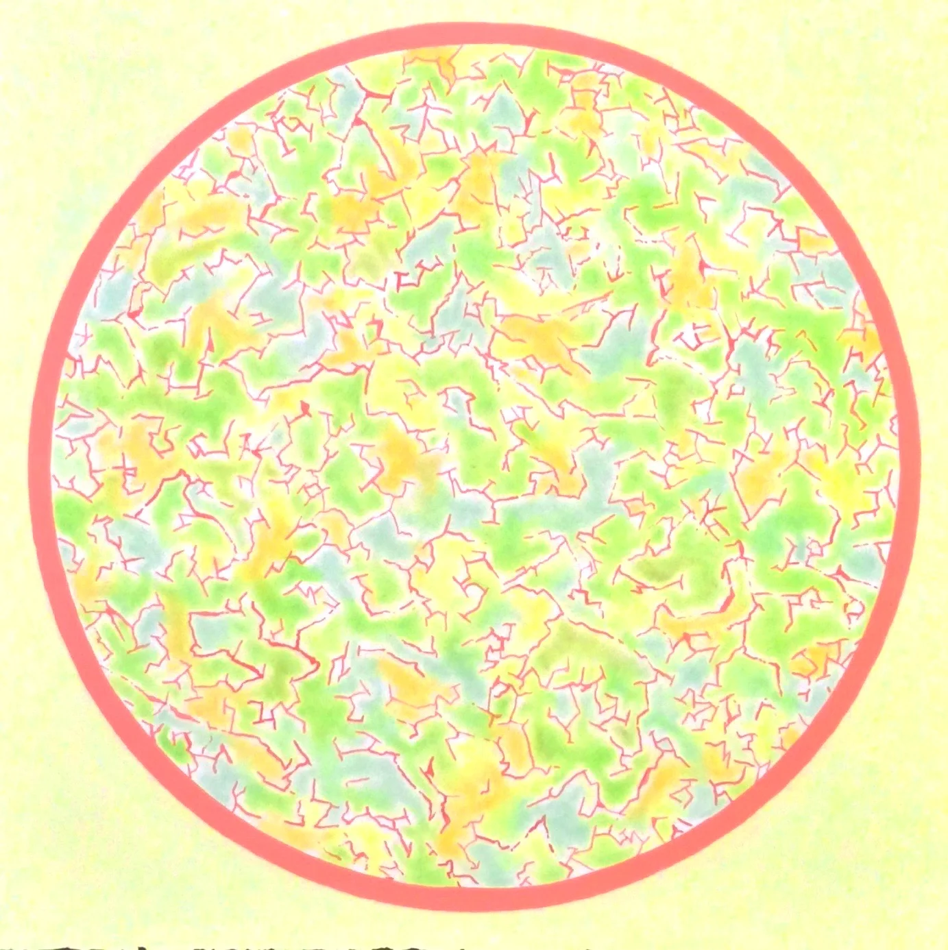 Mesotheliomium 22.5” x 22.5”