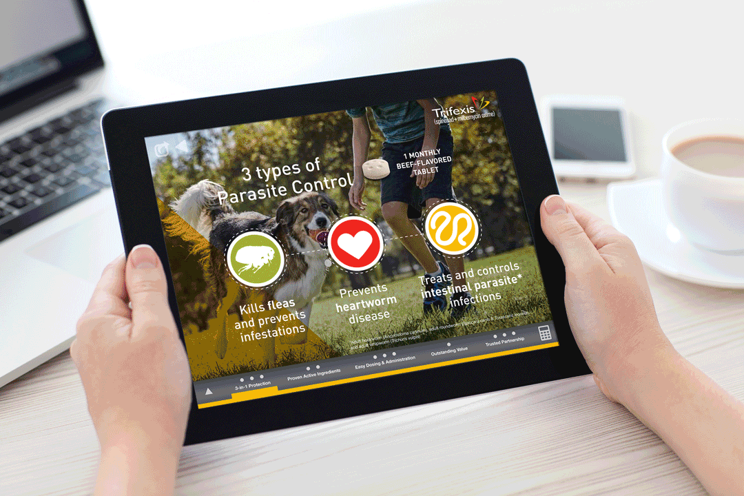 Elanco Companion Animal