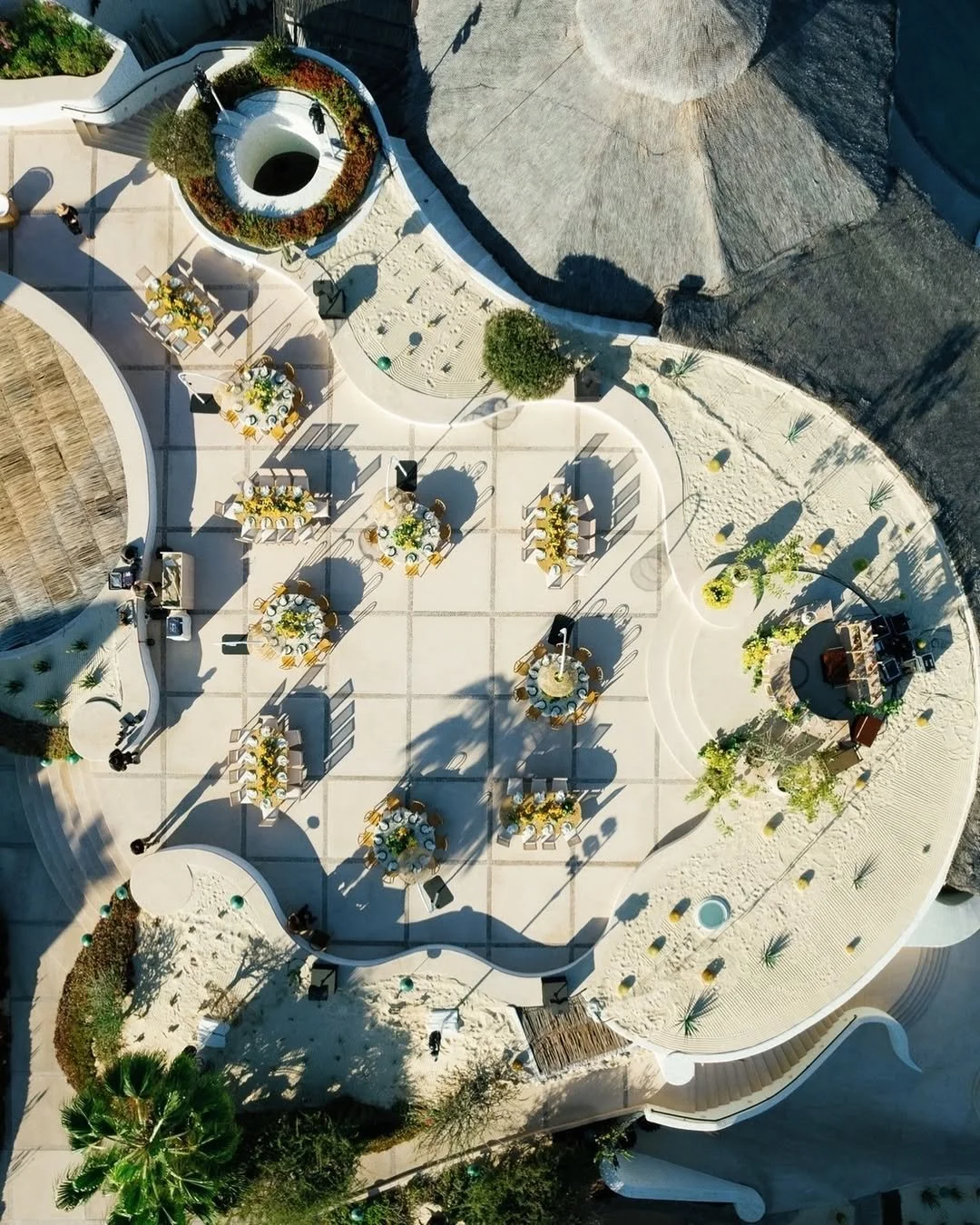 Los 25 Mejores Wedding Planners en México 2025