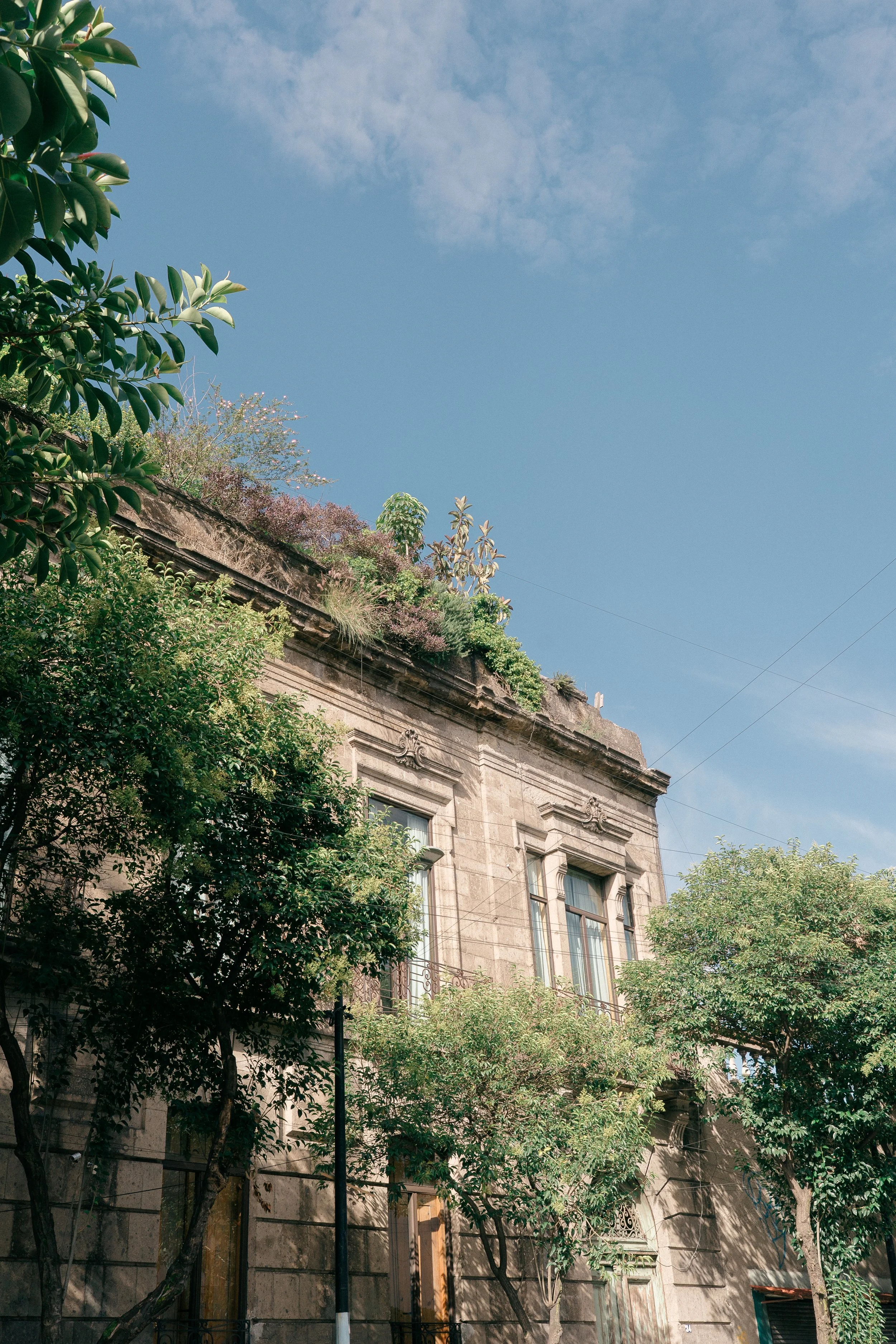 Visual Creations CDMX-13.jpg