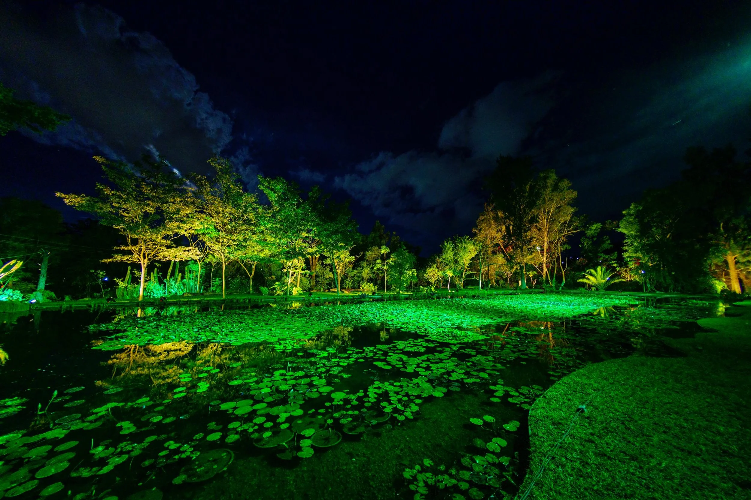 WhatsApp Image 2025-10-28 at 10.56.43 a.m. (3).jpeg