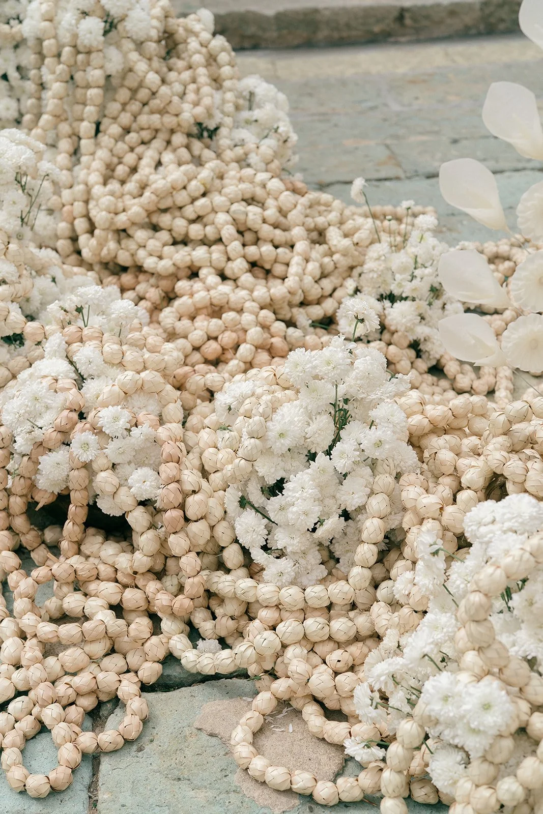 Murguia Karime & Sakora-43.jpg