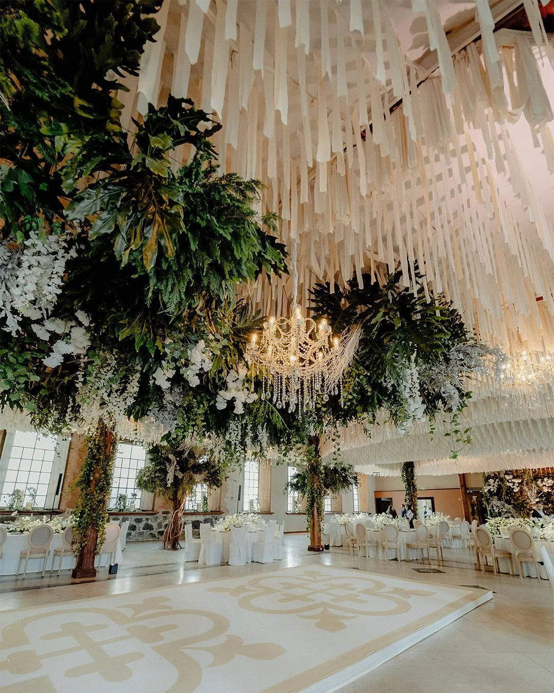 javiervenegaswp_1740845634_3578795031949335923_300931227.jpg