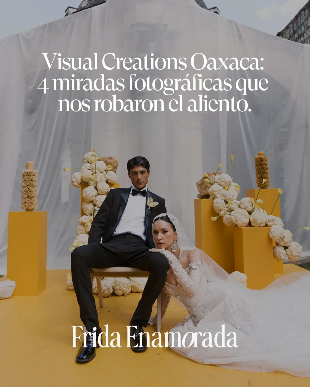 Oaxaca nos regal&oacute; inspiraci&oacute;n infinita y @visualcreations_fe fue el espacio perfecto para transformarla en arte. Hoy queremos compartirte una selecci&oacute;n muy especial: las miradas &uacute;nicas de cuatro fot&oacute;grafos que captu