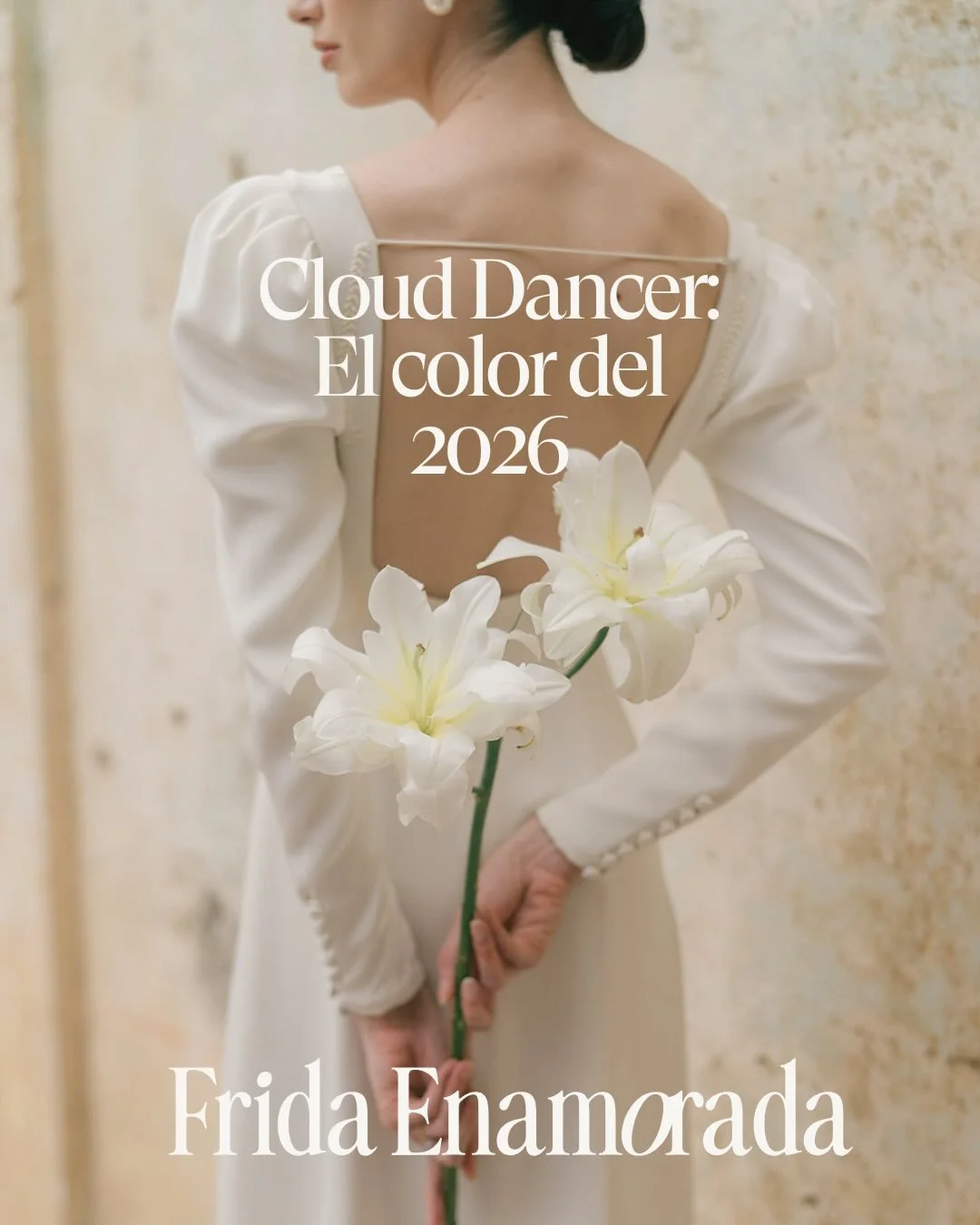 Pantone acaba de anunciar Cloud Dancer como el color del a&ntilde;o 2026, un color que viene como un llamado a la calma y paz en tiempos complicados.

Y s&iacute;, lo entendemos: no fue el anuncio m&aacute;s explosivo del universo crom&aacute;tico.

