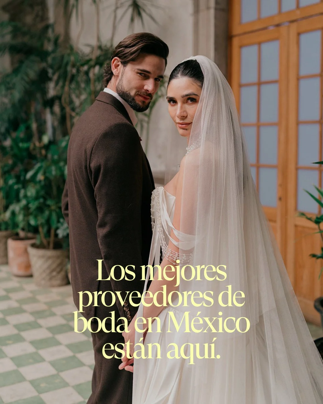 Tu boda merece lo mejor. ✨
En nuestra secci&oacute;n de proveedores recomendados encontrar&aacute;s a esos talentos que transforman sue&ntilde;os en momentos inolvidables. Desde flores que cuentan historias, hasta fot&oacute;grafos que capturan emoci