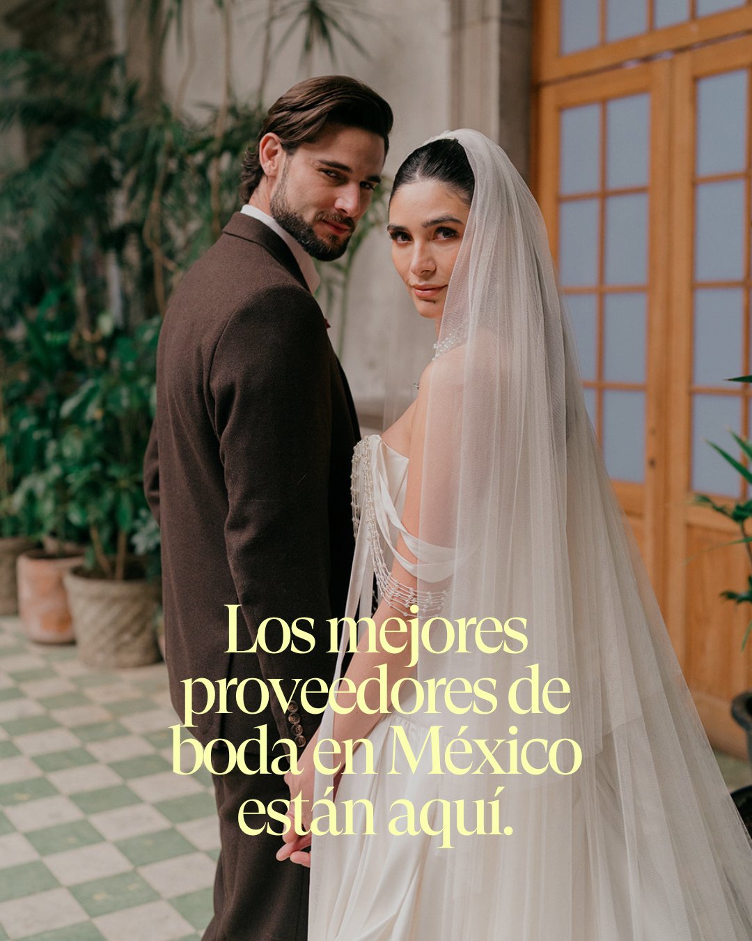 Tu boda merece lo mejor. ✨
En nuestra secci&oacute;n de proveedores recomendados encontrar&aacute;s a esos talentos que transforman sue&ntilde;os en momentos inolvidables. Desde flores que cuentan historias, hasta fot&oacute;grafos que capturan emoci