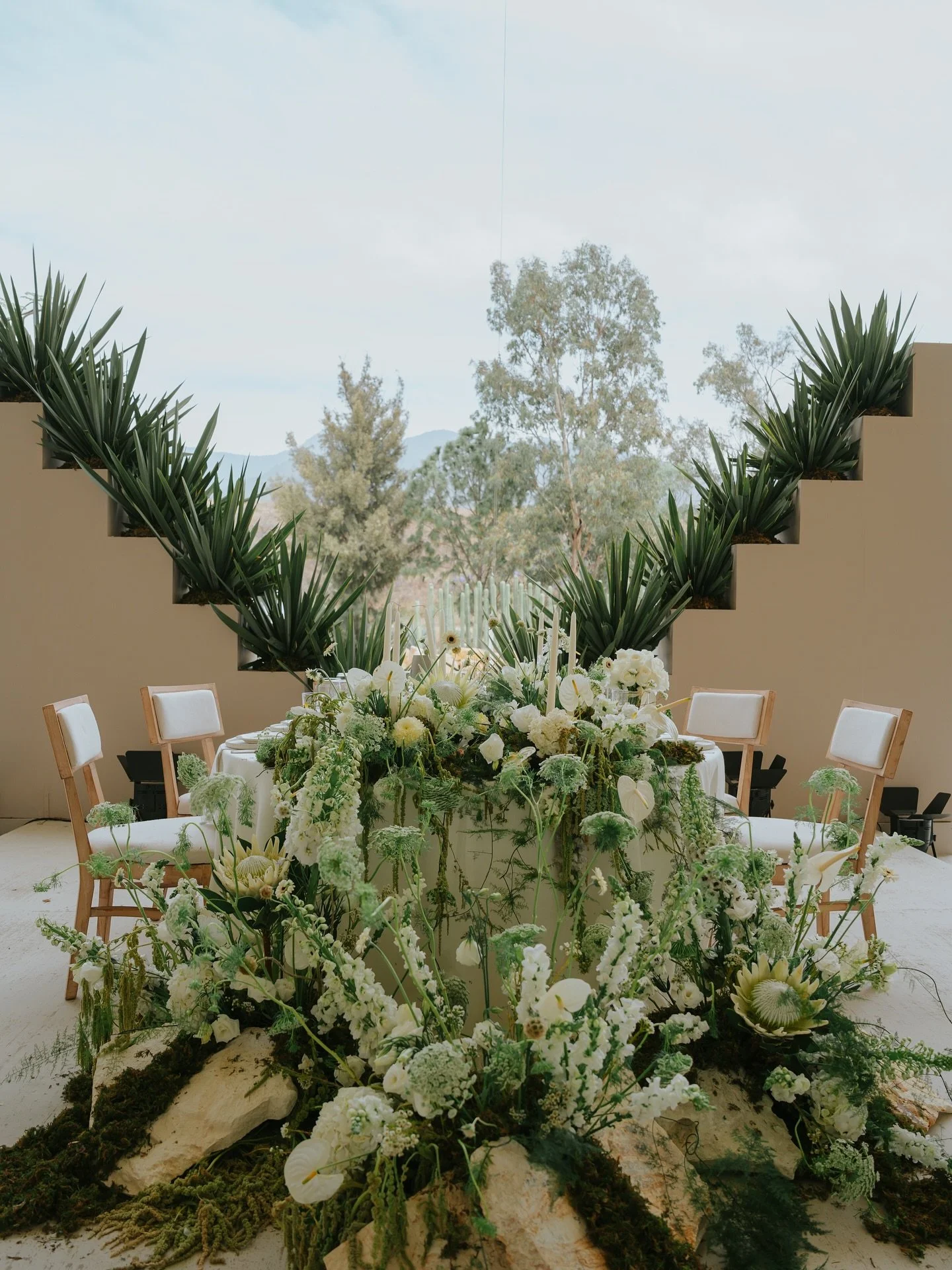 victorinoamadoroficial_1748821443_3645700963374152794_216456536 (1).jpg