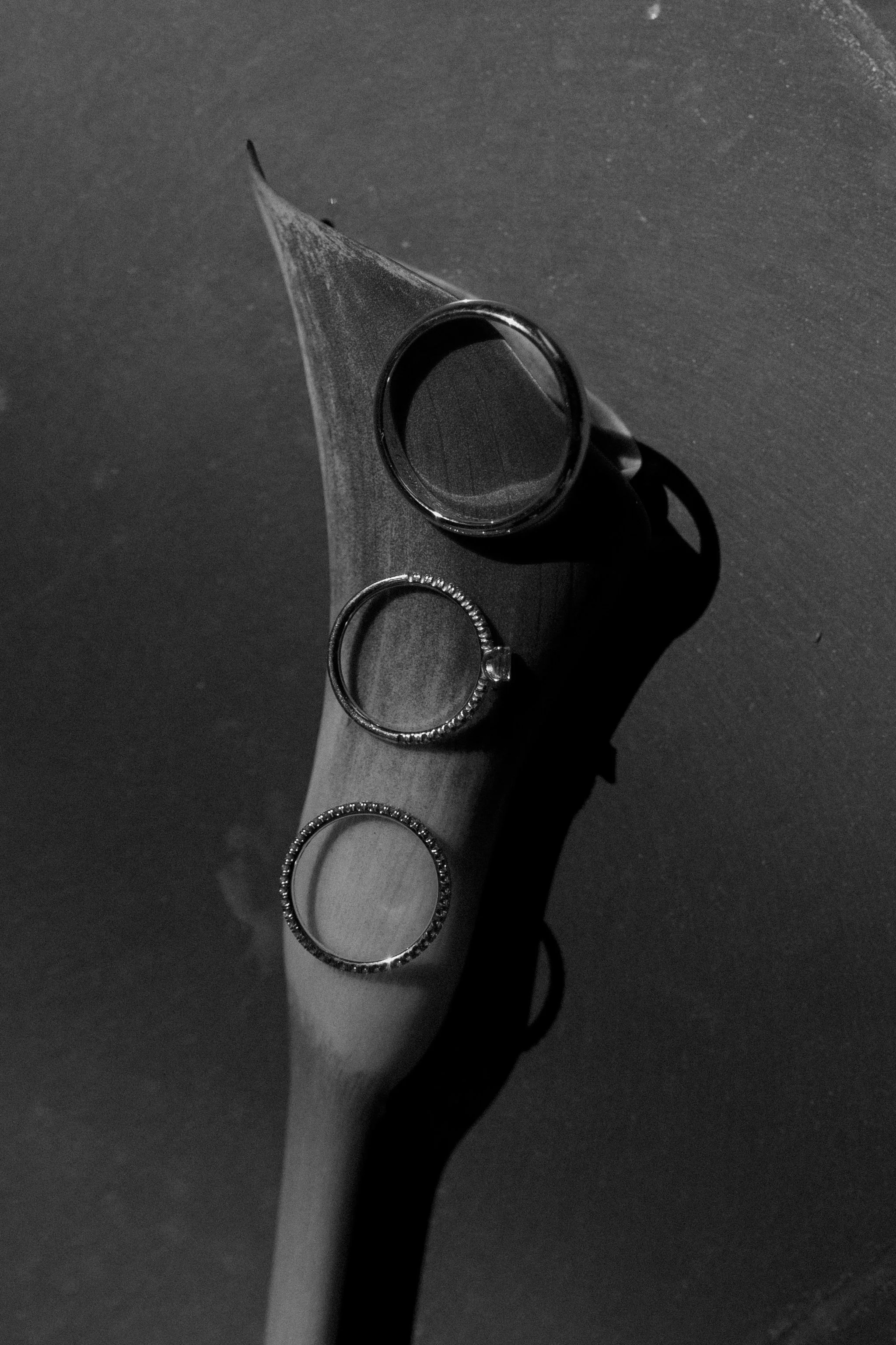 Judith Castro-Paola & Thibaud43.jpg