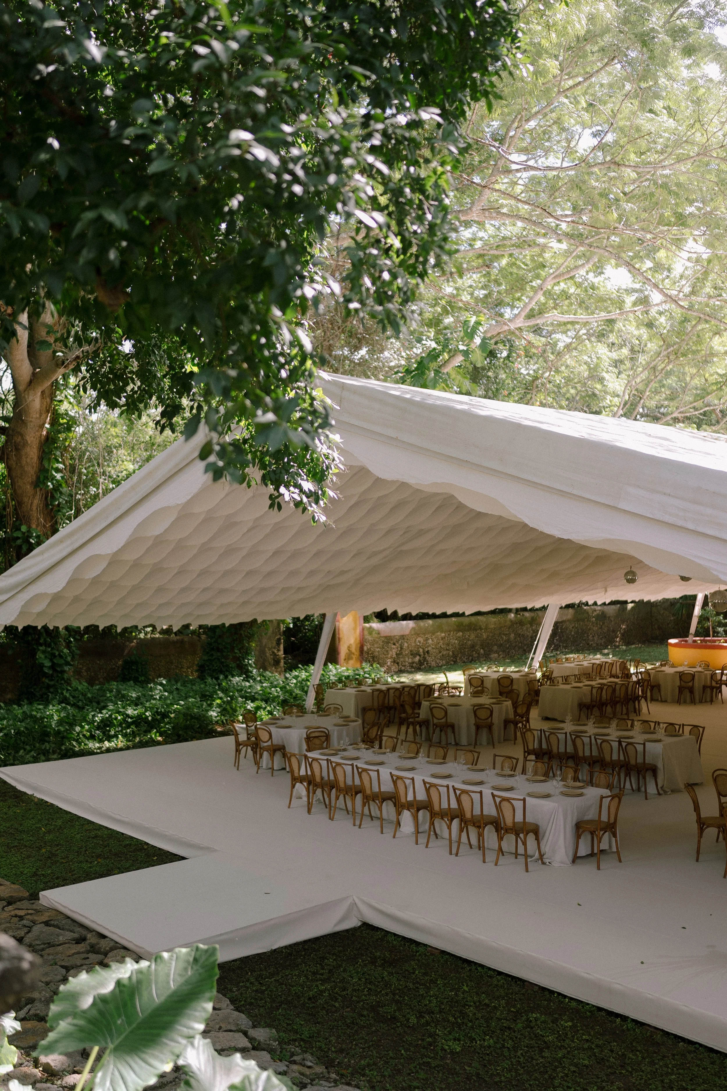 Judith Castro-Paola & Thibaud39.jpg