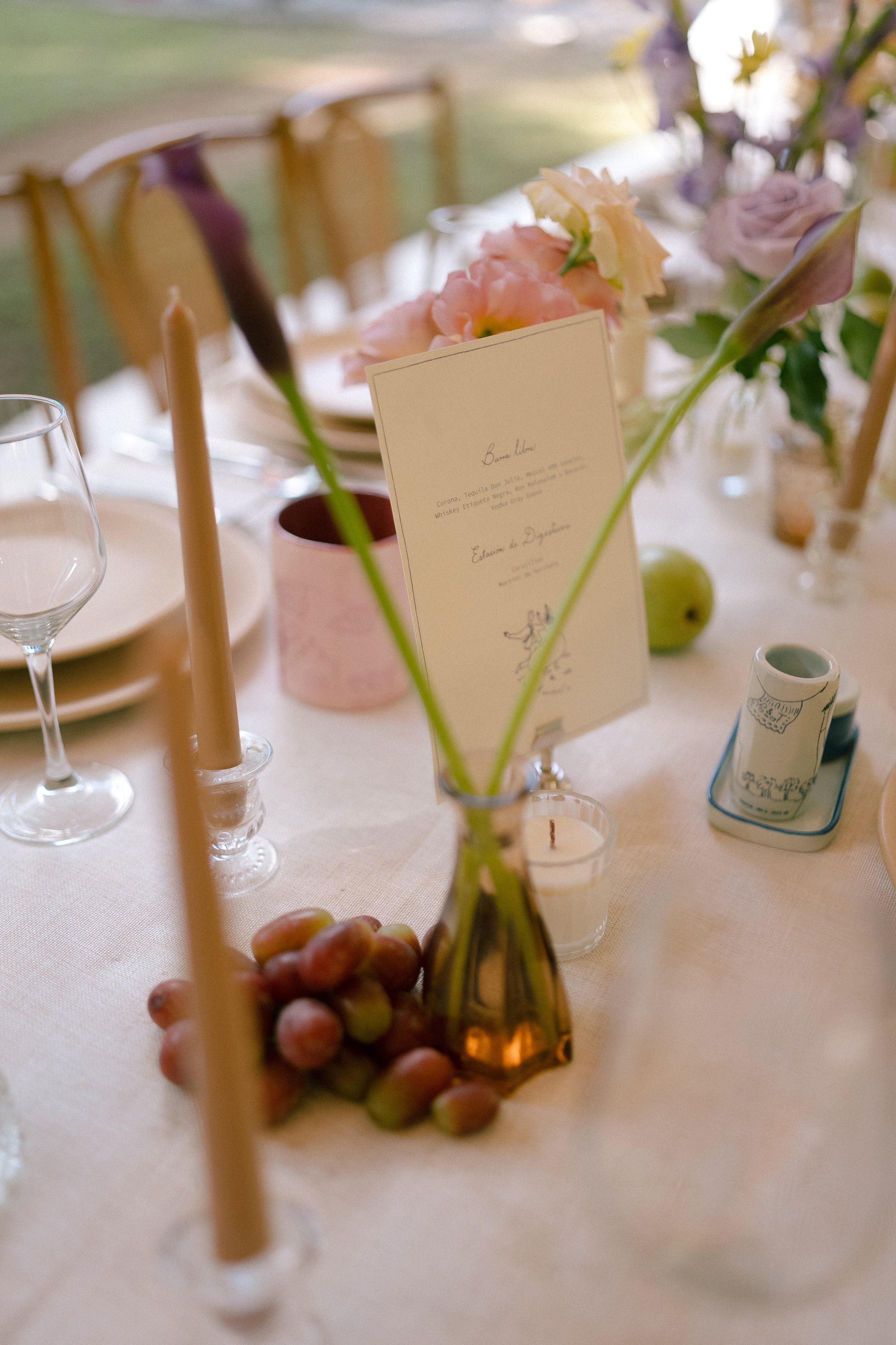 Judith Castro-Paola & Thibaud342.jpg