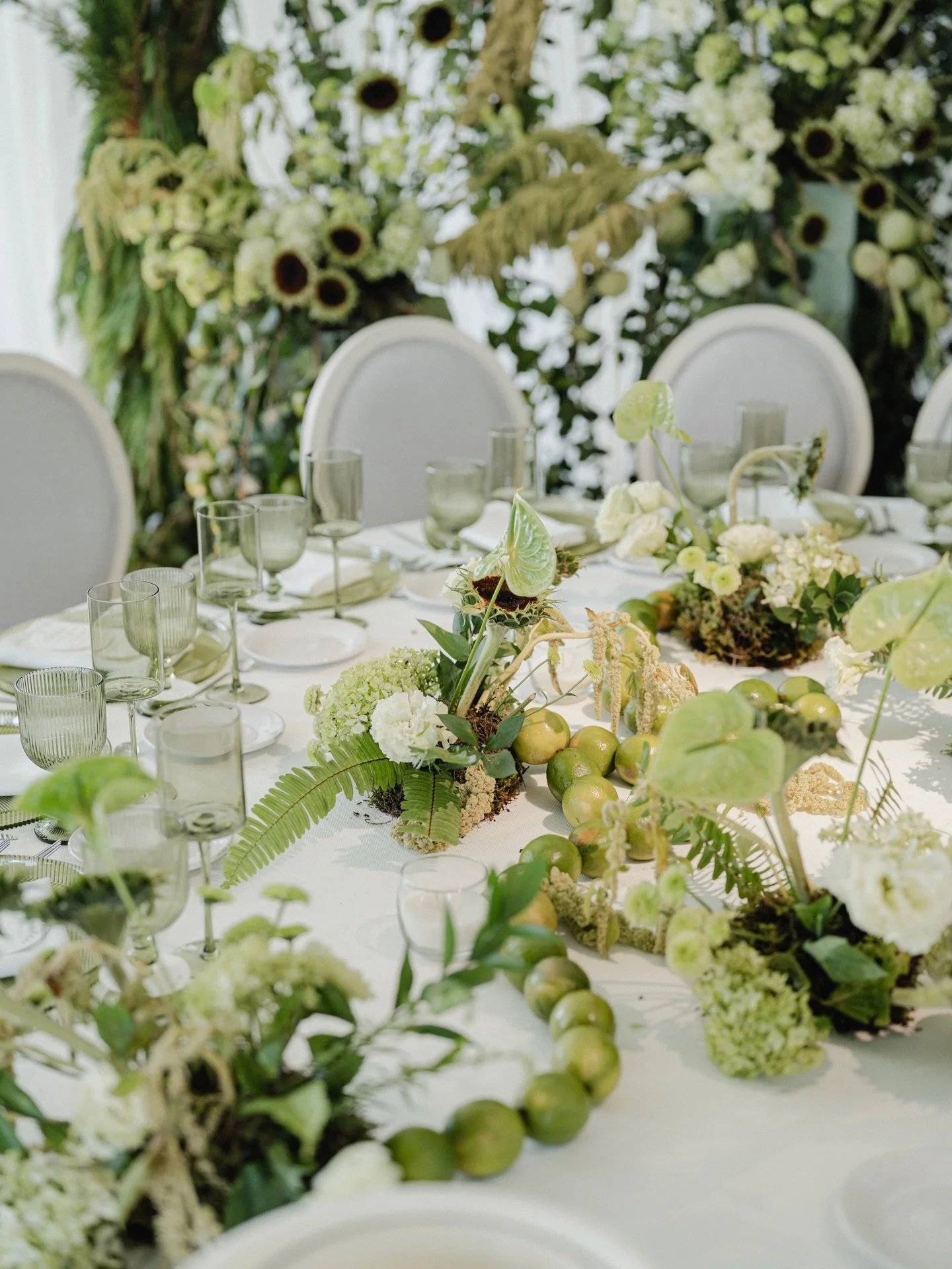 Si sue&ntilde;as con una boda elegante, bien producida y llena de detalles, @javiervenegaswp es el wedding planner ideal con a&ntilde;os de experiencia dise&ntilde;ando bodas y eventos, Javier se especializa en destination weddings en M&eacute;xico, 