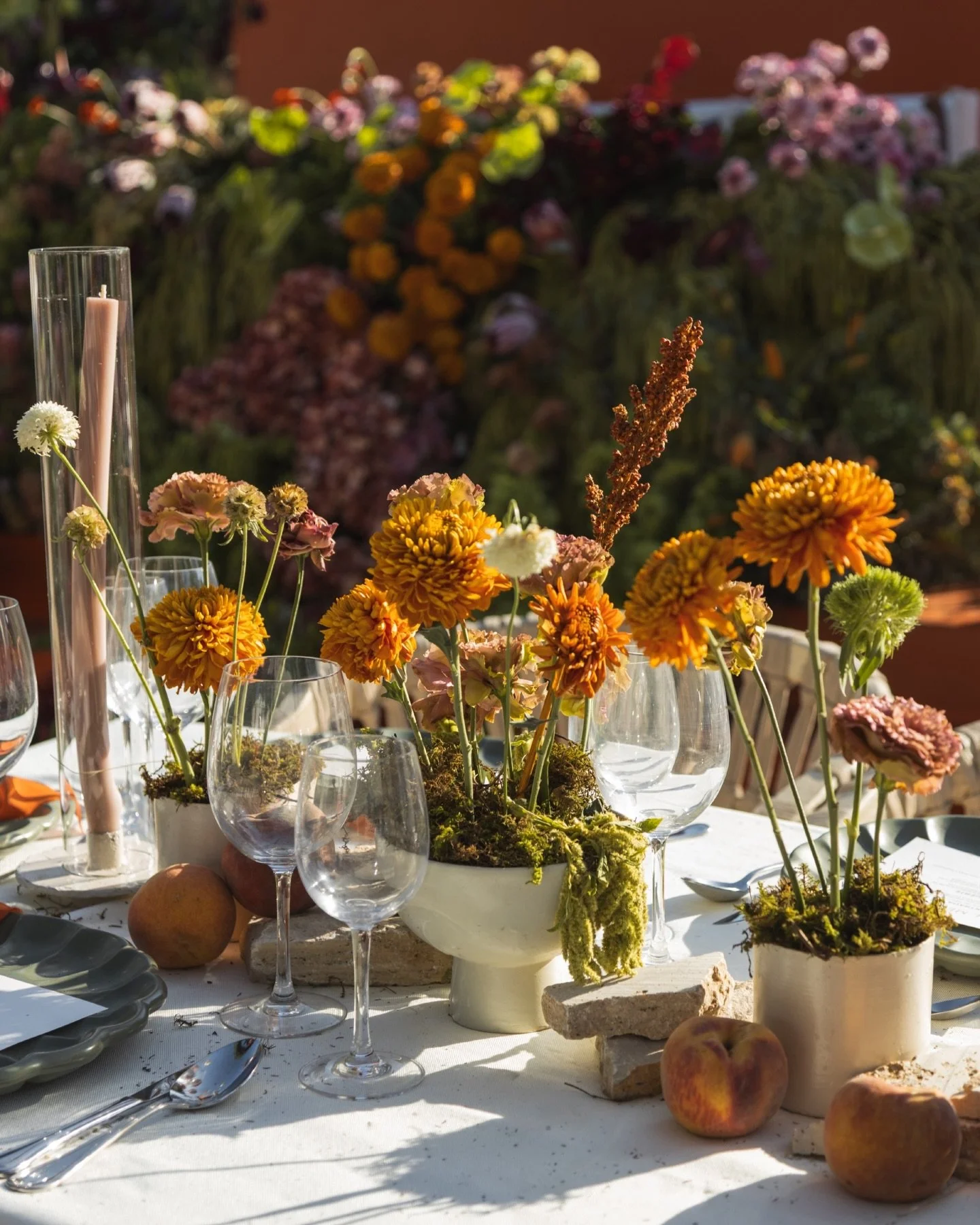 camelia.wp_1764095556_3773829510505548102_3678282445 (1).jpg