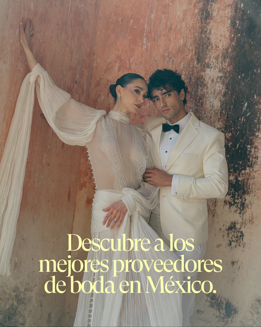 Tu boda merece lo mejor. ✨
En nuestra secci&oacute;n de proveedores recomendados encontrar&aacute;s a esos talentos que transforman sue&ntilde;os en momentos inolvidables. Desde flores que cuentan historias, hasta fot&oacute;grafos que capturan emoci