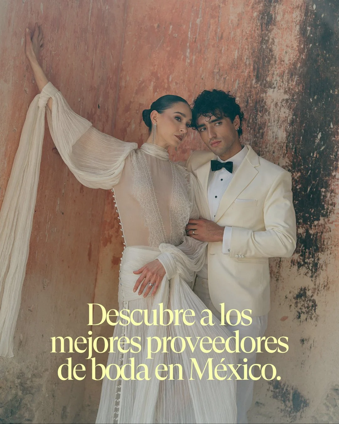 Tu boda merece lo mejor. ✨
En nuestra secci&oacute;n de proveedores recomendados encontrar&aacute;s a esos talentos que transforman sue&ntilde;os en momentos inolvidables. Desde flores que cuentan historias, hasta fot&oacute;grafos que capturan emoci