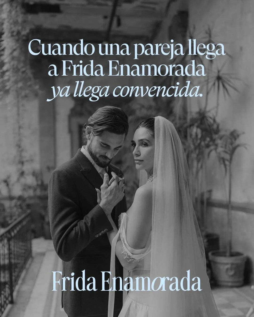 Cuando una pareja llega a Frida Enamorada, ya llega convencida. 🩵

Ya entendi&oacute; el valor de una boda bien pensada, de una est&eacute;tica cuidada y de elegir proveedores de boda que realmente est&eacute;n a la altura.

Por eso, formar parte de