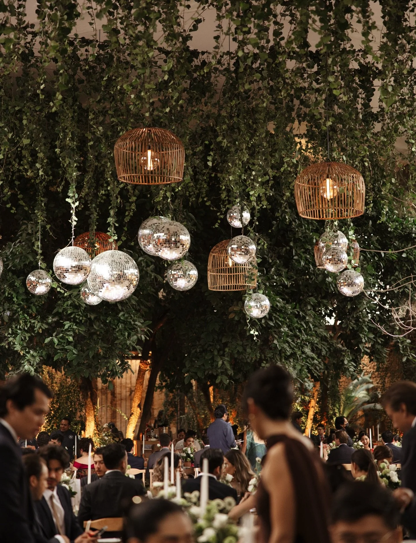 fullshotweddings_1765232777_3783369207648864575_3531461494.jpg