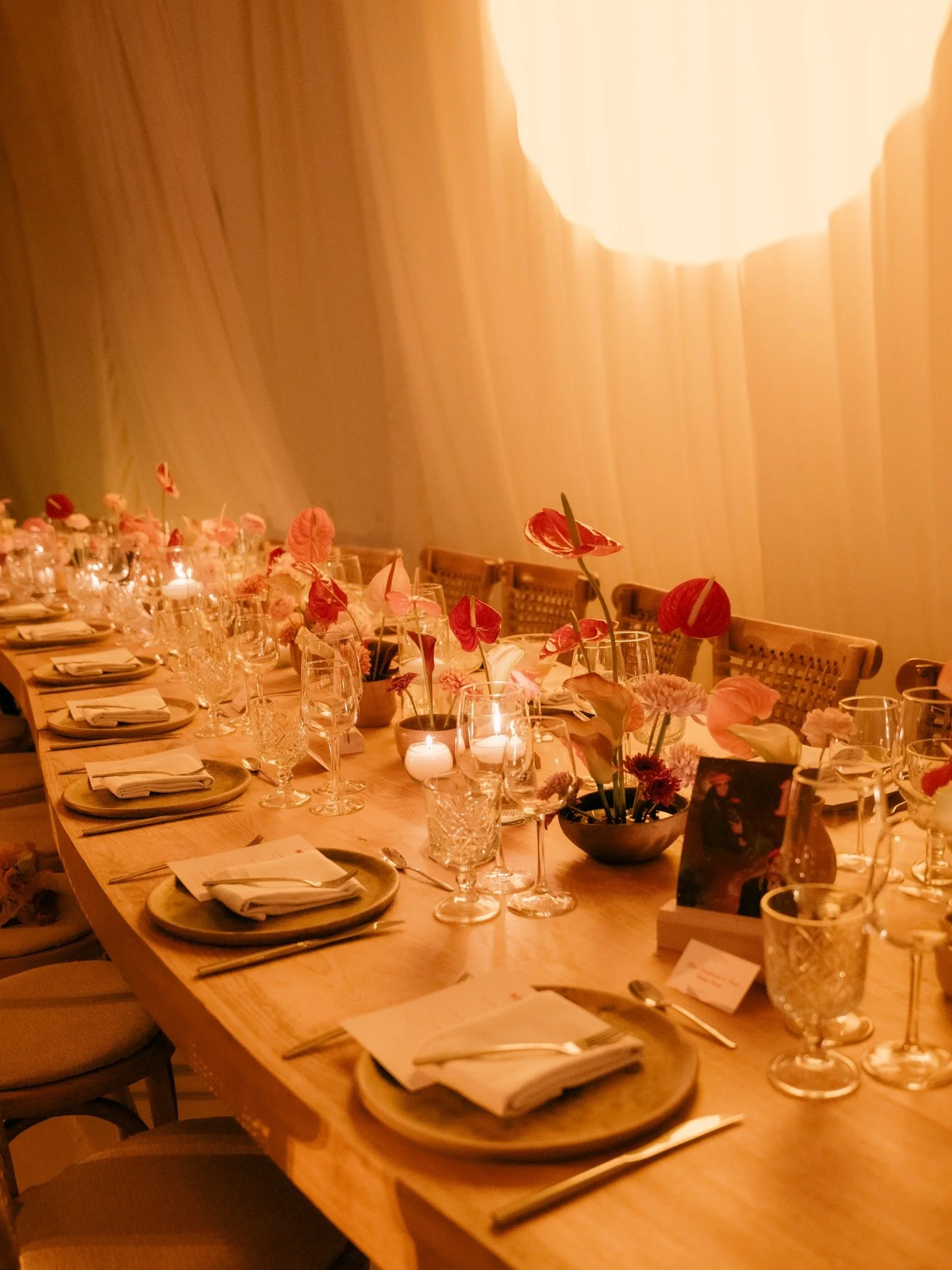 eventos_y_bodas_oaxaca_1771906302_3839332357886761572_4061687020.jpg