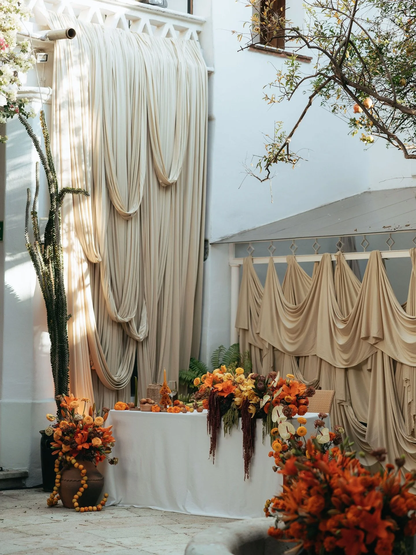 eventos_y_bodas_oaxaca_1767806269_3804957223295462230_4061687020.jpg