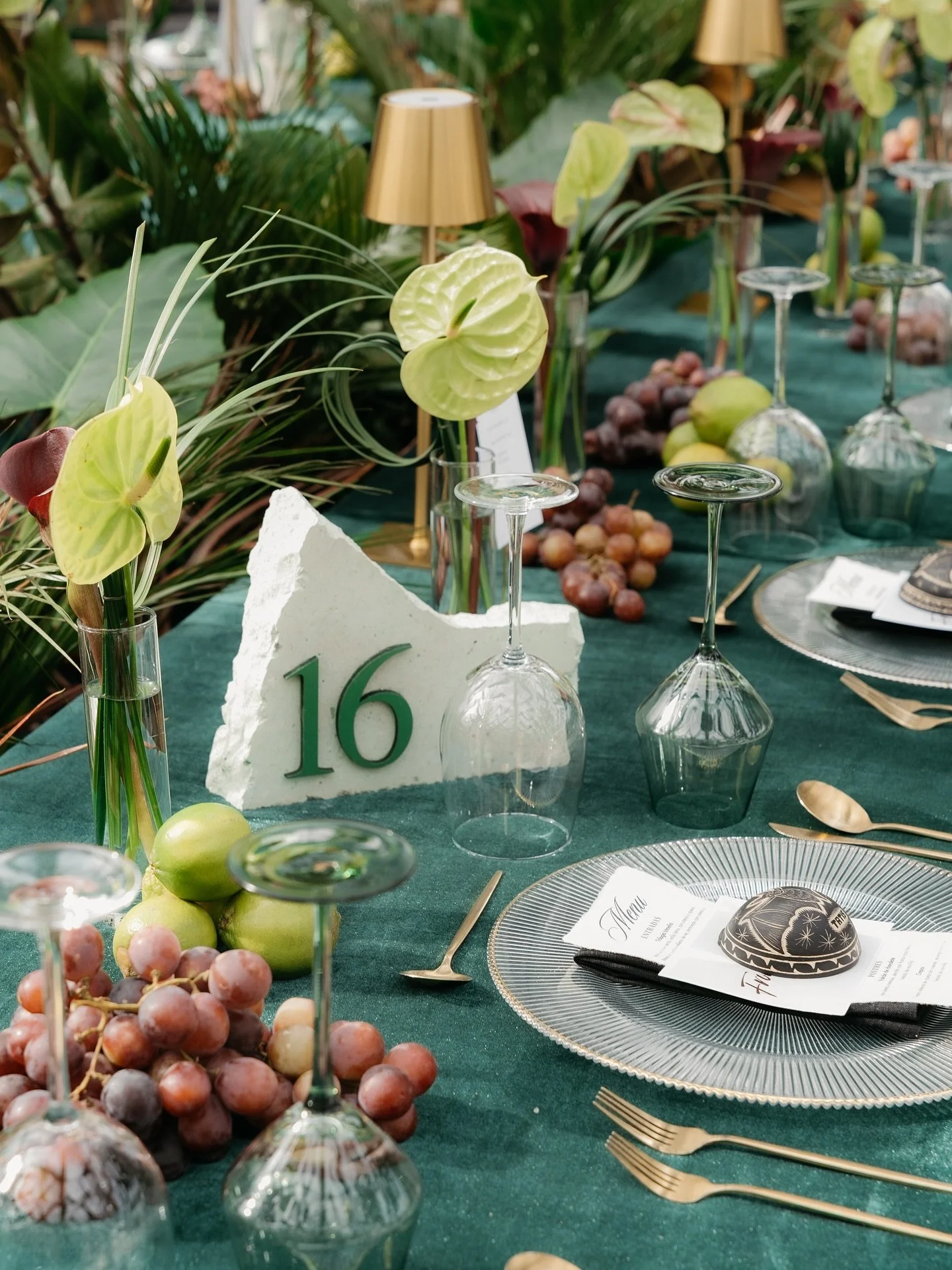 eventos_y_bodas_oaxaca_1757002606_3714329534633713415_4061687020.jpg