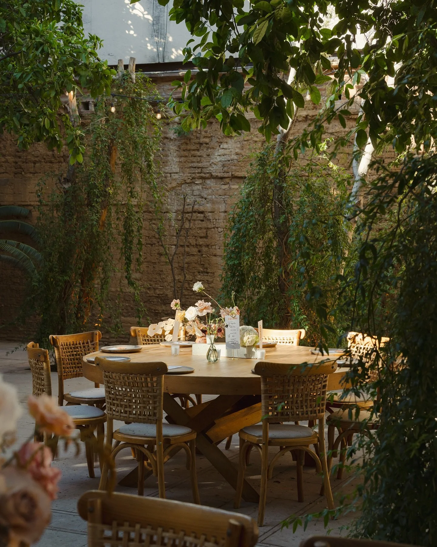 eventos_y_bodas_oaxaca_1734467827_3525294102558799325_4061687020.jpg