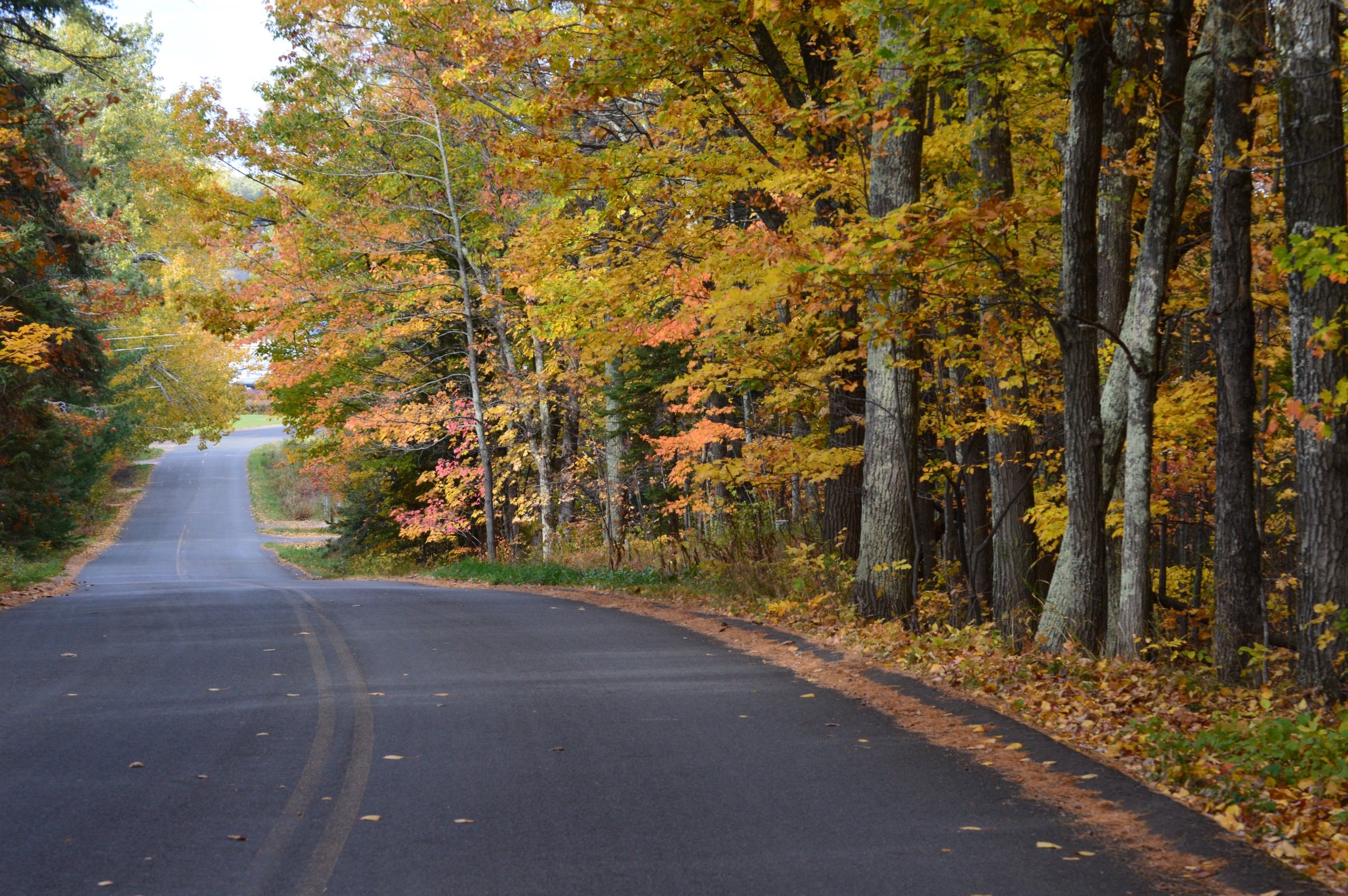 Old Fort Road