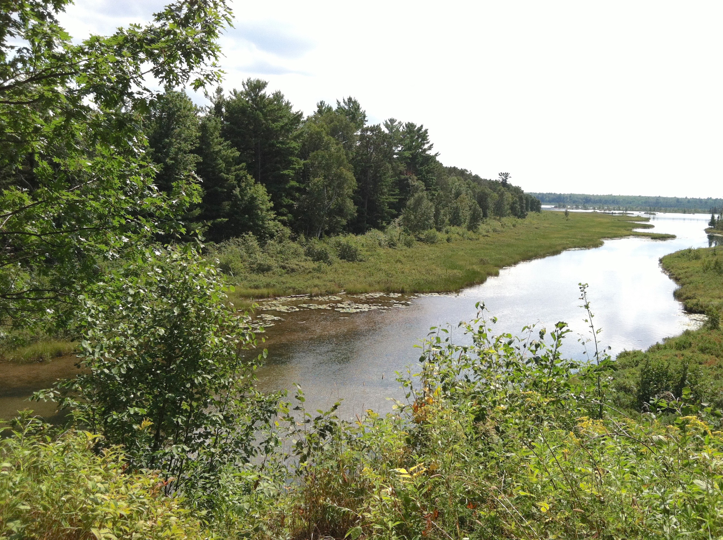 The Lagoon in Spring