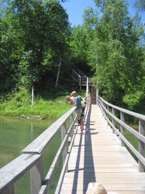 Lagoon Bridge in Summer