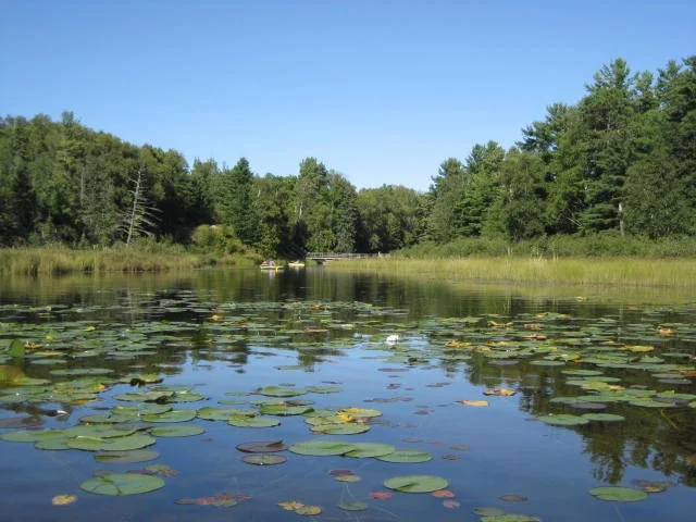 The Lagoon in Summer