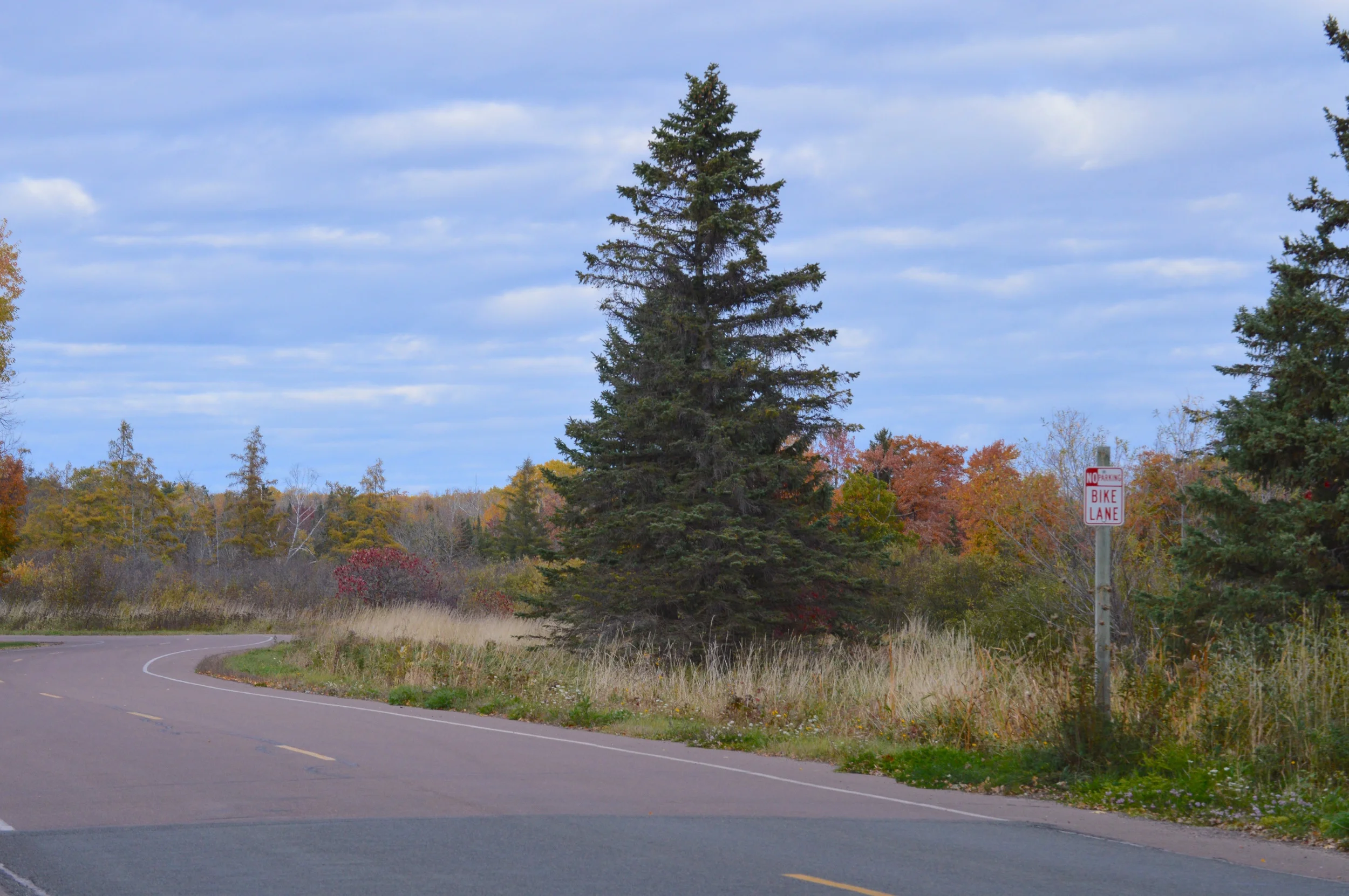 Bike Path Near Golf Course