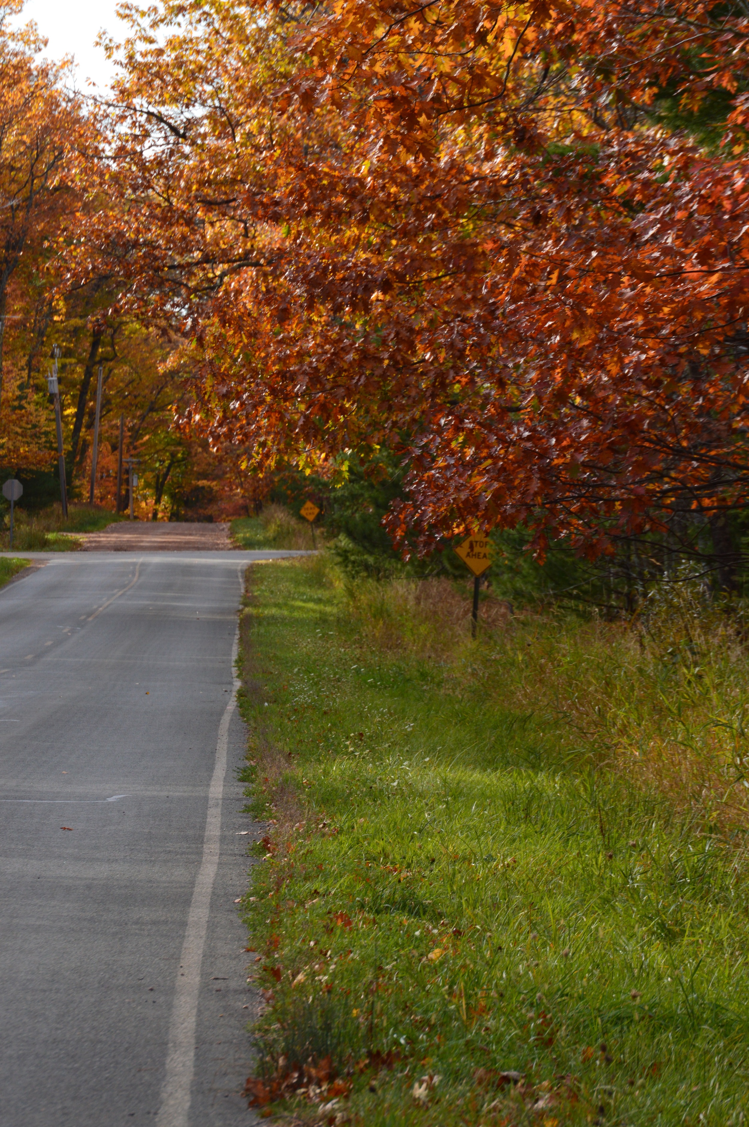 South Shore Road